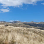 Pretežno sunčano ili malo do umjereno oblačno