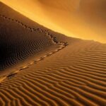 Saharski dinosaurusi jeli ribu