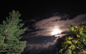 Jače naoblačenje tokom noći usloviće kišu mjestimično