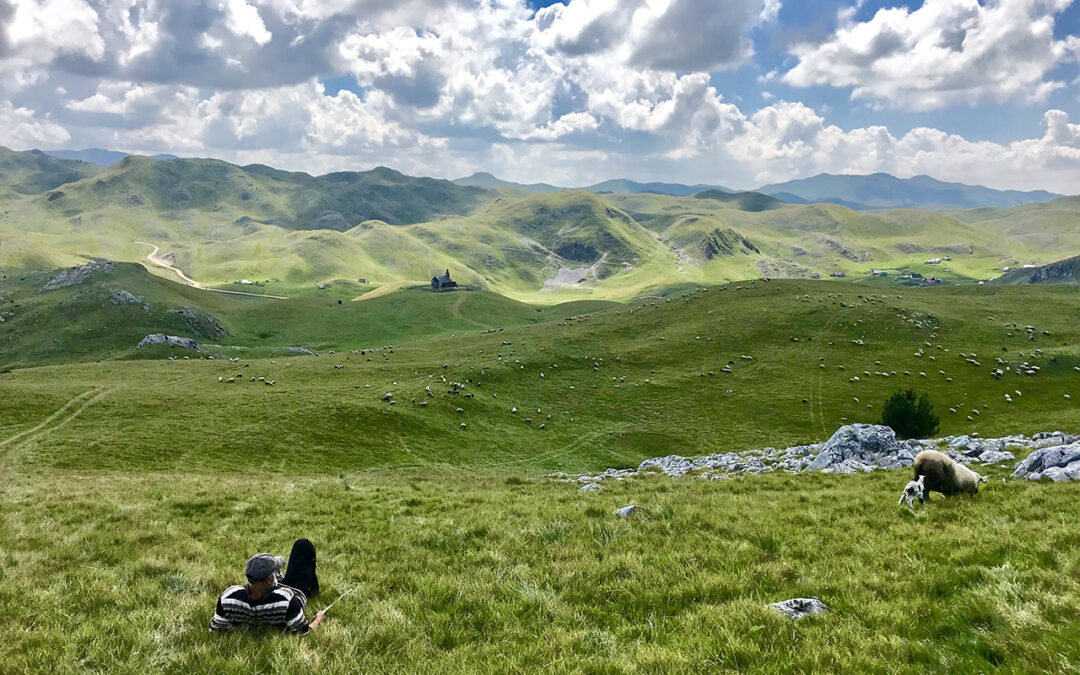 Nova Vlada da ispravi greške prethodnih i zaštiti Sinjajevinu
