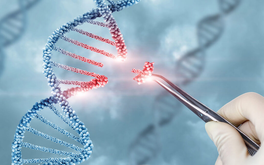 Istraživači razvili terapiju modifikovanja gena koji utiče na smanjenje lošeg holesterola