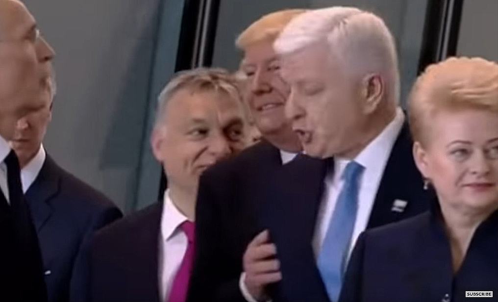 guranje markovic Tramp
