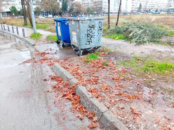 Sveto drvo – badnjak, u kontejnerima svake godine završava širom Crne Gore