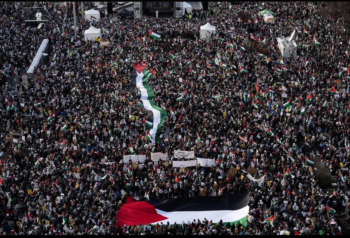 Stotine hiljada ljudi na propalestinskom maršu u Vašingtonu