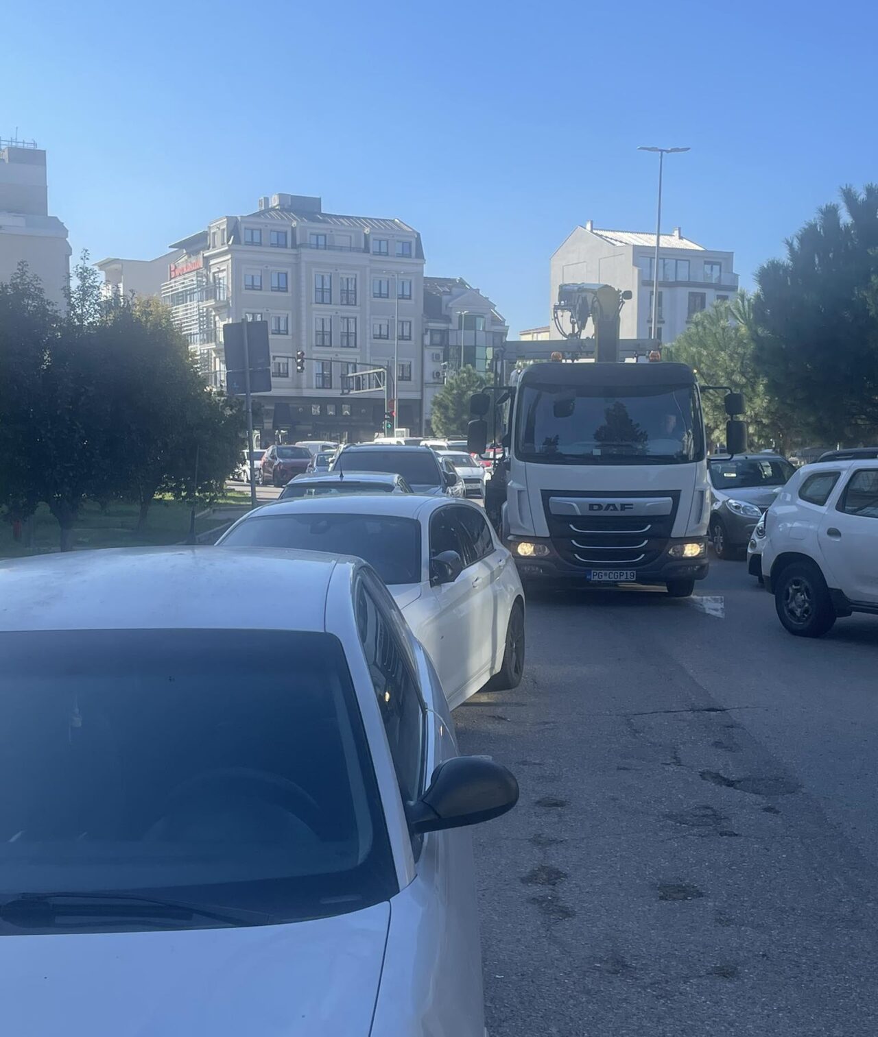 Pdgorica: Stop za 'pauk'