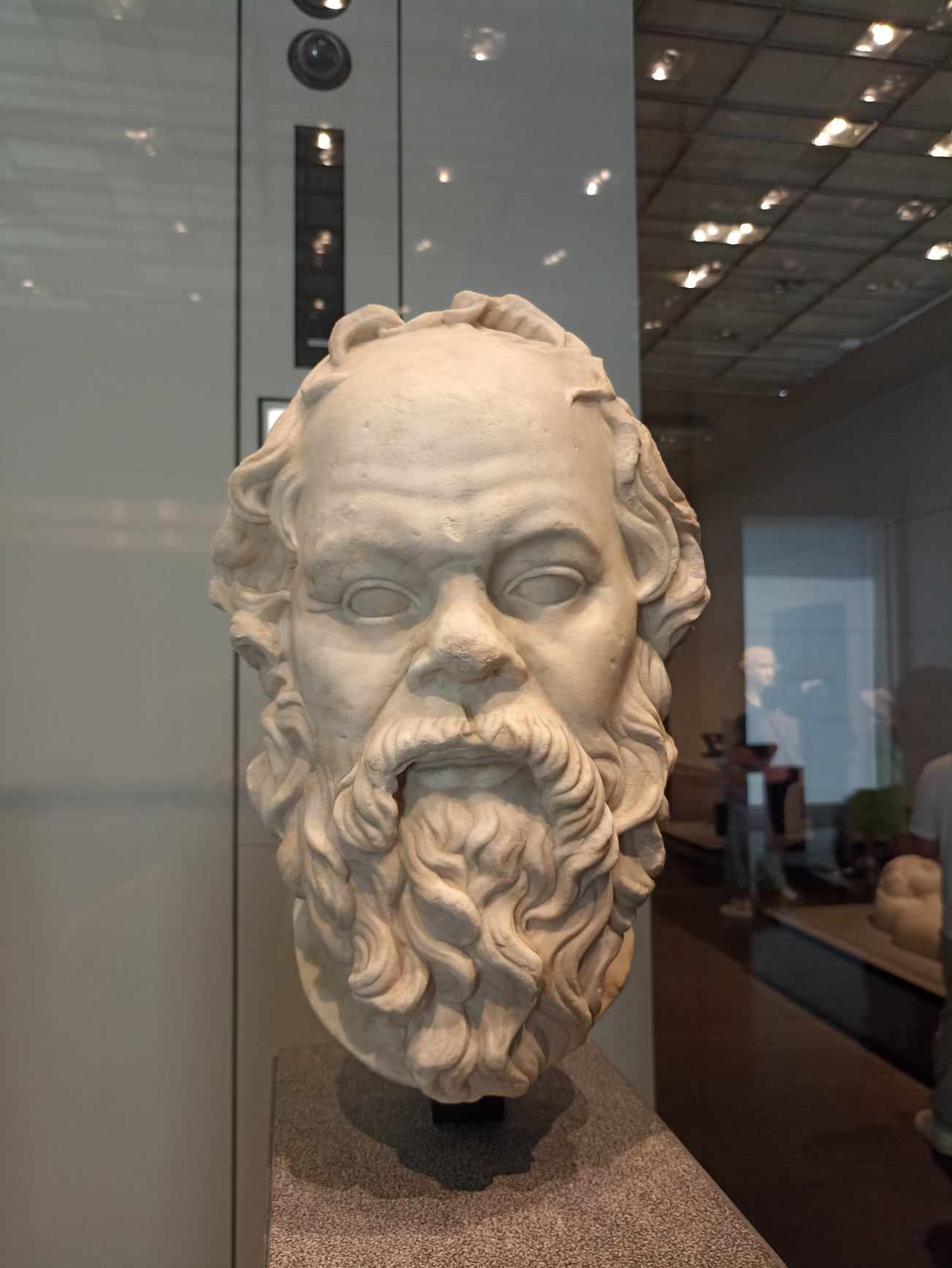 sokratov portret