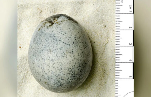 Jaje iz rimskog perioda