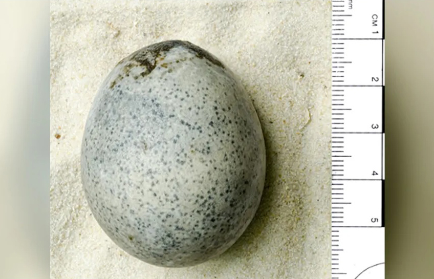 Jaje iz rimskog perioda