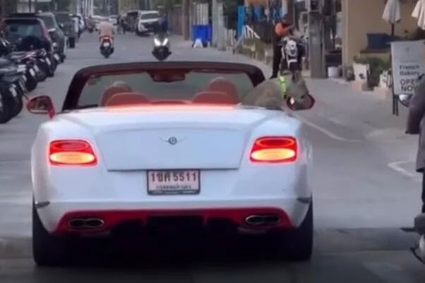 Kad lav izađe u grad