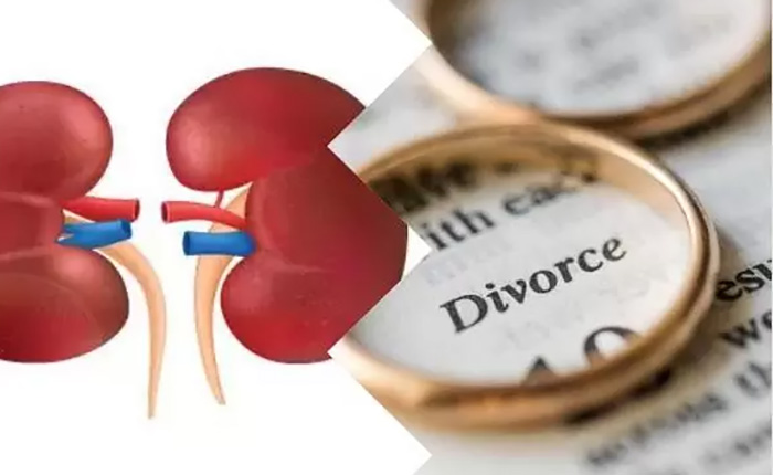 razvod bubreg
