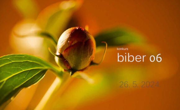 Šesti regionalni konkurs za kratku priču Biber