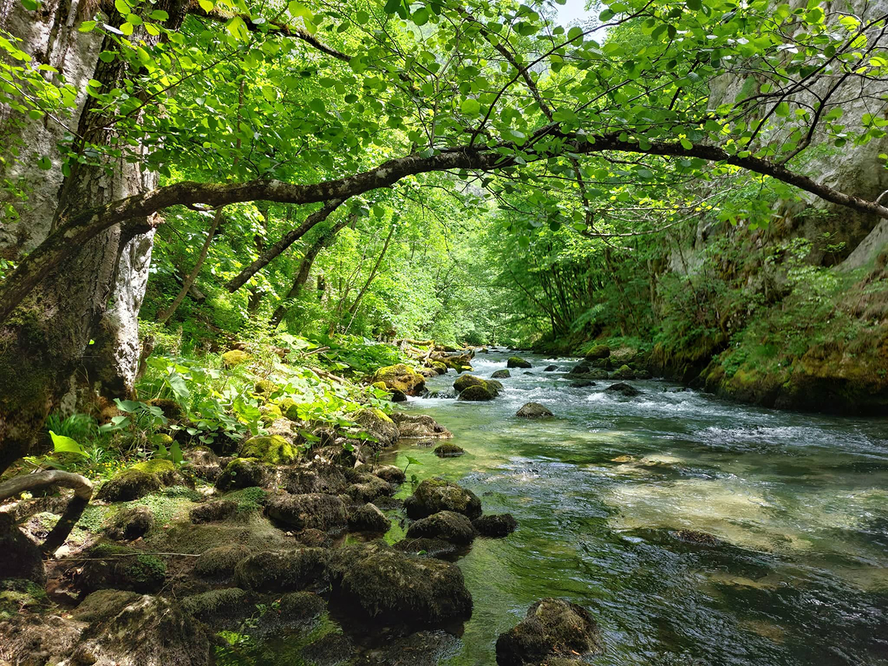Zeleno svijetlo za Đalovića klisuru: Ponovno uspostavljena zaštita