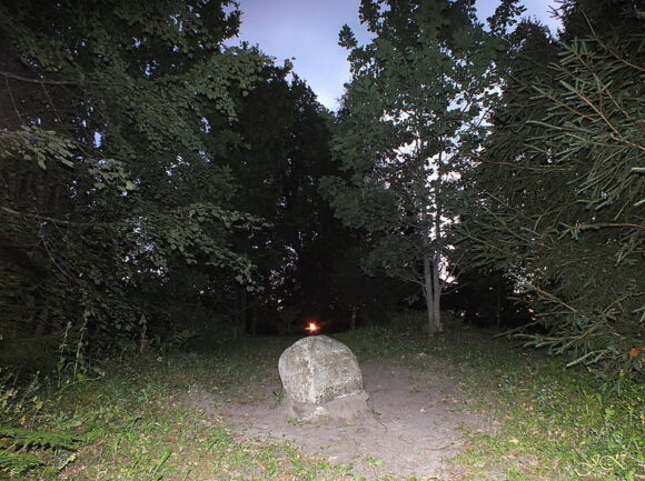 Pokani -čudna šuma je to