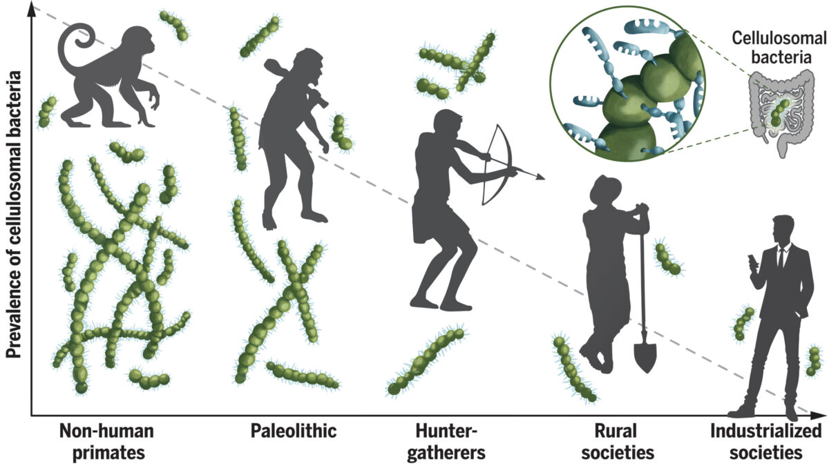 Foto:Scienceorg