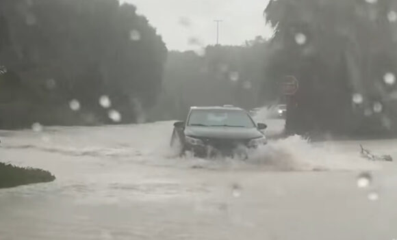 Godina u kojoj je anomalija postala norma