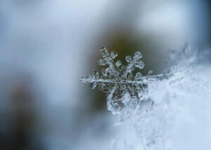 Zanimljive činjenice o snijegu