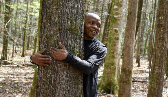 Najgrljač drveća na svijetu