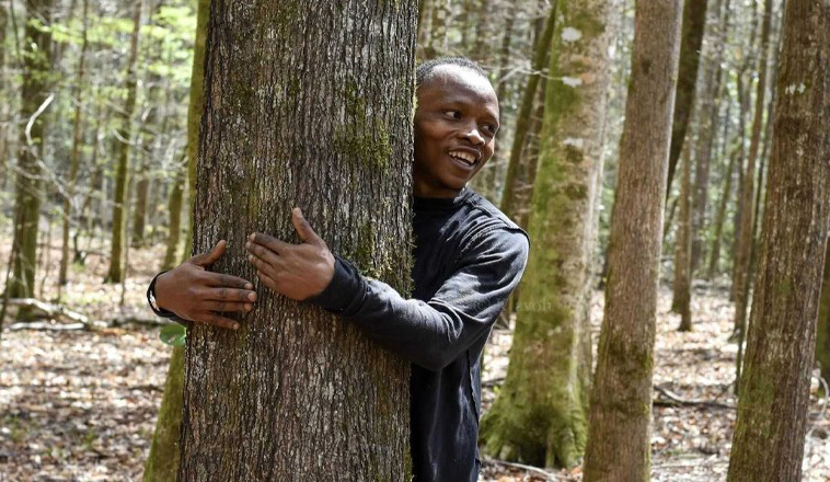 Najgrljač drveća na svijetu