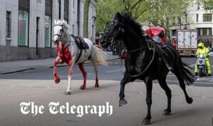 Preplašeni konji jurili centrom Londona