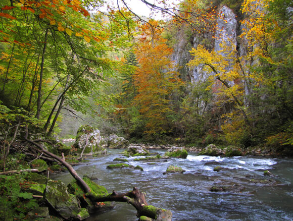 Vlada da odustane od planova izgradnje hidroelektrana na Ćehotini