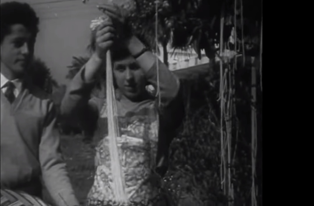 Kad su špagete rasle na drveću