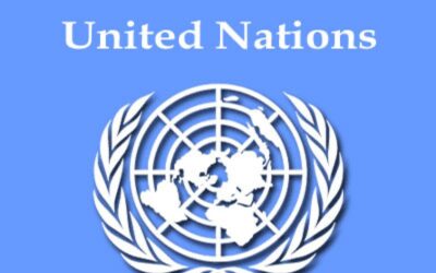 UN: Zakon o javnom okupljanju nije u skladu sa međunarodnim aktima