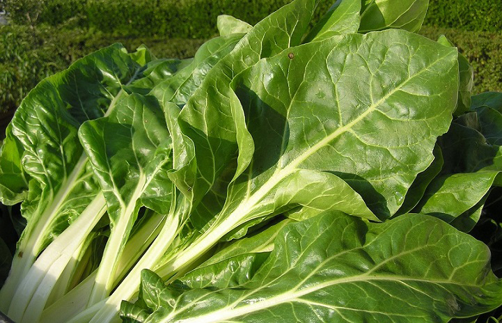 Blitva - mediteransko zlato