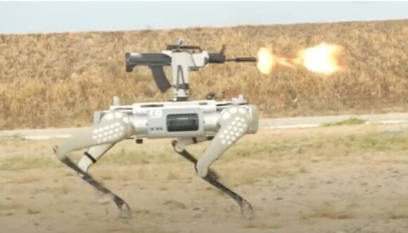 Kineski pas sa jurišnom puškom