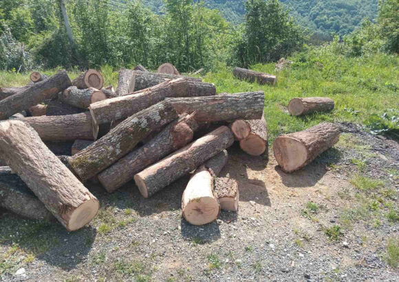 Šumari urgirali kod predsjednika Milatovića da ne potpiše Zakon o šumama