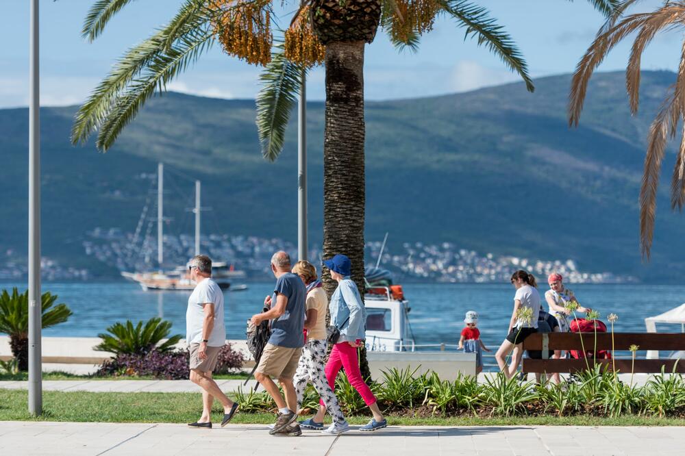 tivat pine