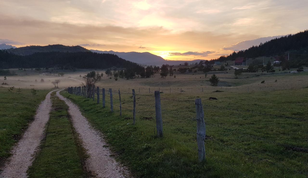 zabljak sumanovac