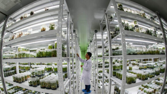 Najveća banka sjemena divljih biljaka u Aziji