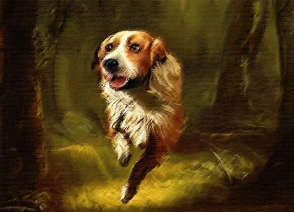 Pas poslije nesreće trčao po pomoć