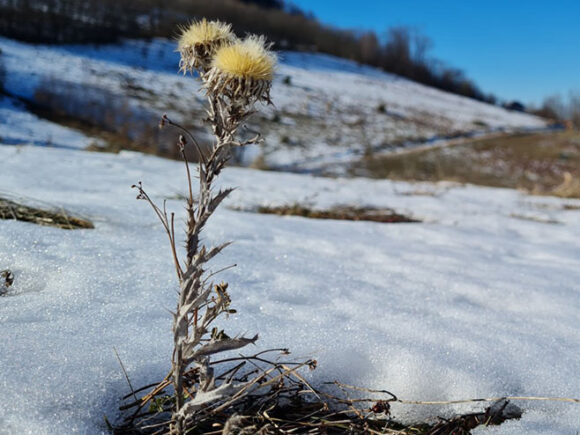 Postepeni prestanak padavina i razvedravanje