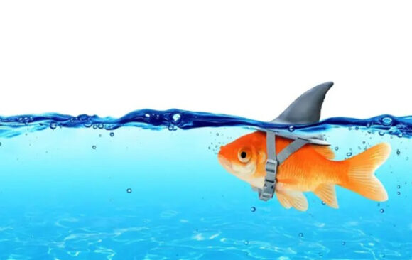 Deset različitih tipova lažljivaca