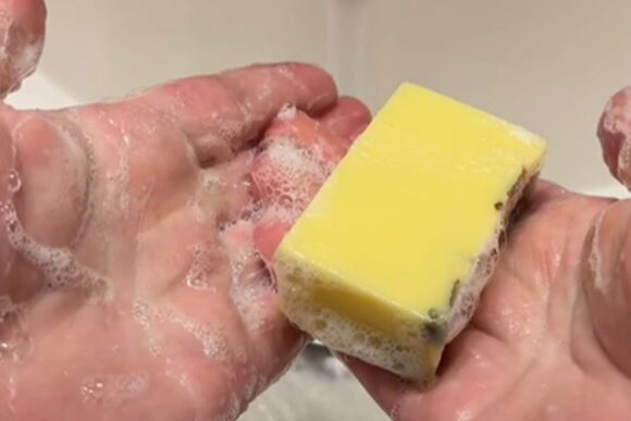 sapun od sala sa stomaka