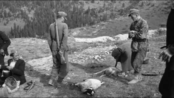 Tanja Šuković: Žrtvama se mijenja nacionalno ime, sljedbenici ideologije fašističkih sluga govore o antifašizmu, a četnički vojvoda o pomirenju i kulturi sjećanja