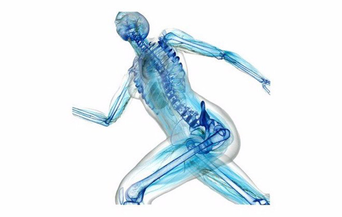 Zašto je dobar kolagen