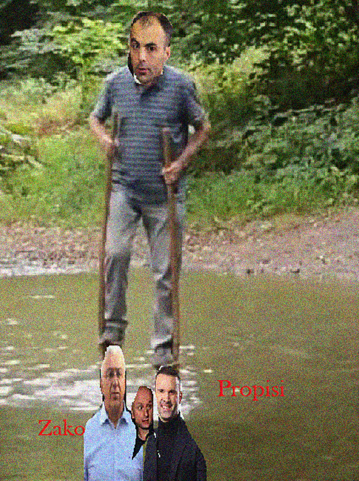 Izbor generalnog direktora RTCG