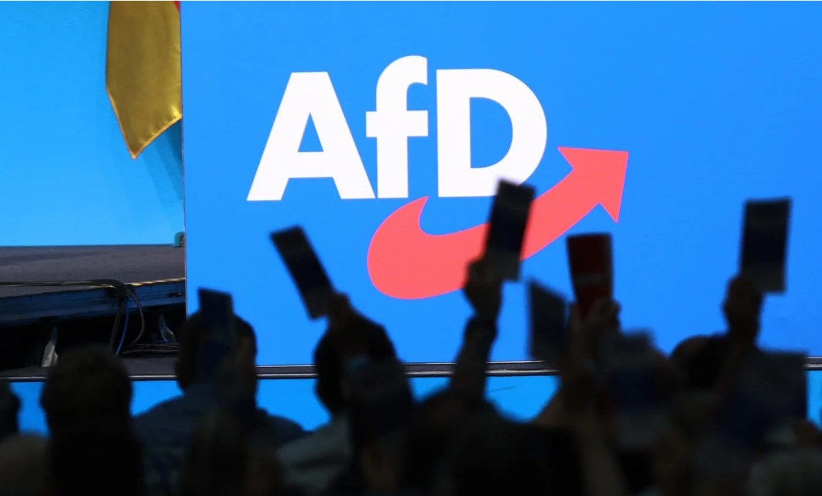 Svaki drugi Njemac je za zabranu AfD