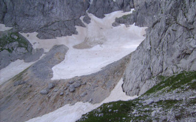 Okopnio durmitorski lednik Debeli namet