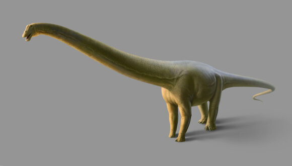 Otkriveni ostaci zelenog dinosaurusa stari 150 miliona godina