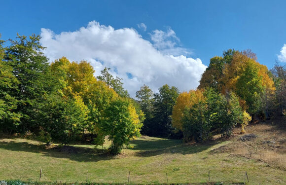 Početak septembra pretežno sunčan