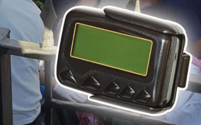 Izrael koristio Palantir tehnologiju u napadu pejdžerima na Hezbolah