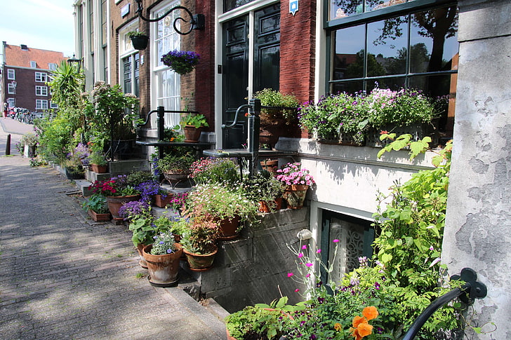 Vlasti u holandskoj prestonici Amsterdamu su pokrenule "operaciju saksija", jer prekomjerno postavljanje saksija u zgradama ugrožava pristup.