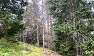 Forum je pokazao da je stanje u NP Prokletije daleko od zadovoljavajućeg