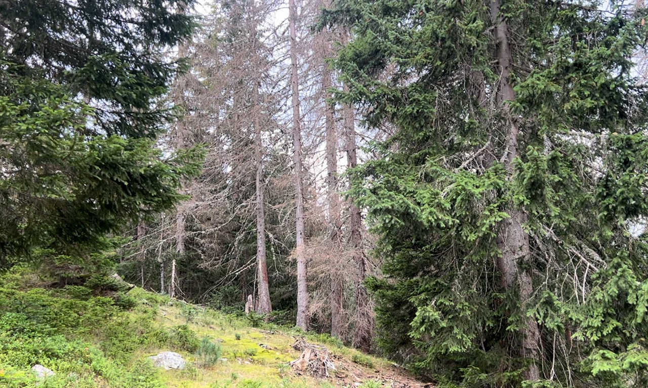 Forum je pokazao da je stanje u NP Prokletije daleko od zadovoljavajućeg