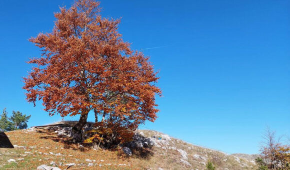 Sunčano i prijatno toplo