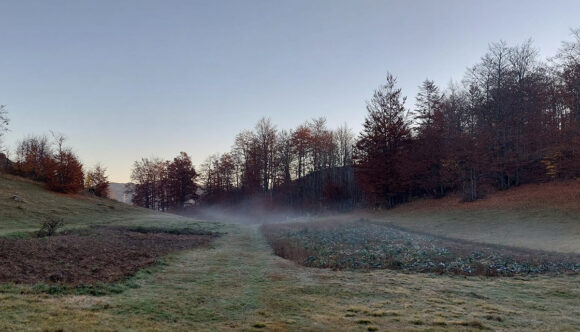 jesen merulja 26oktobar