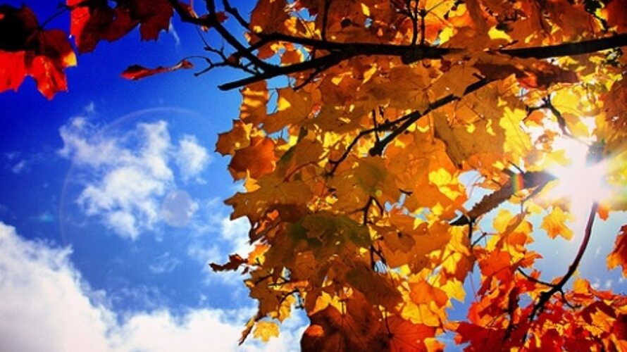Najviša dnevna temperatura od 9 do 24 stepena